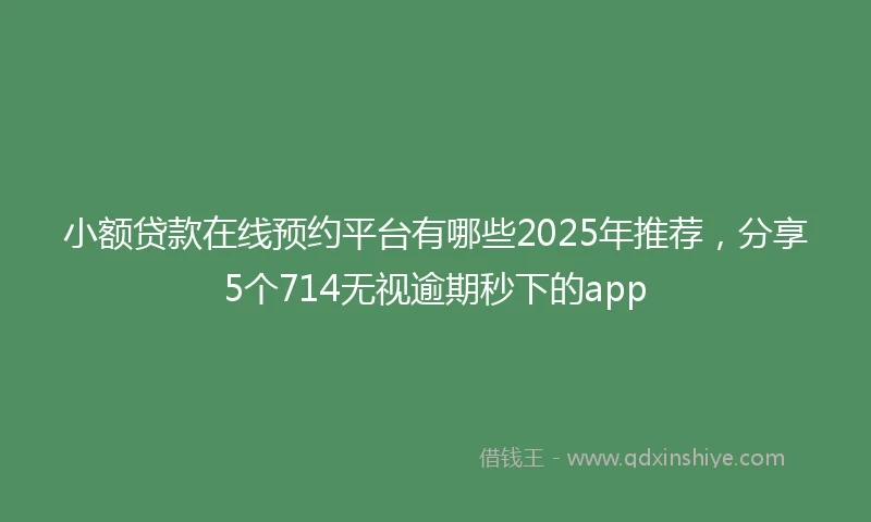小额贷款在线预约平台有哪些2025年推荐，分享5个714无视逾期秒下的app