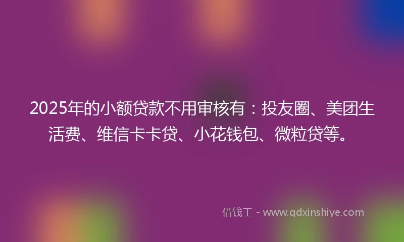 2025年的小额贷款不用审核有：投友圈、美团生活费、维信卡卡贷、小花钱包、微粒贷等。