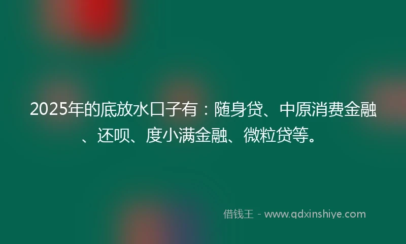 2025年的底放水口子有：随身贷、中原消费金融、还呗、度小满金融、微粒贷等。