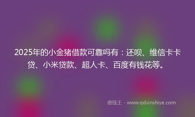 2025年的小金猪借款可靠吗有：还呗、维信卡卡贷、小米贷款、超人卡、百度有钱花等。
