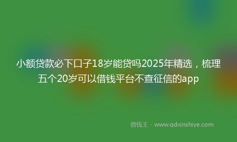 小额贷款必下口子18岁能贷吗2025年精选，梳理五个20岁可以借钱平台不查征信的app