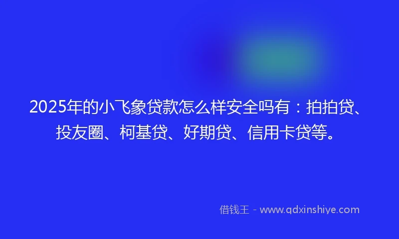 2025年的小飞象贷款怎么样安全吗有：拍拍贷、投友圈、柯基贷、好期贷、信用卡贷等。