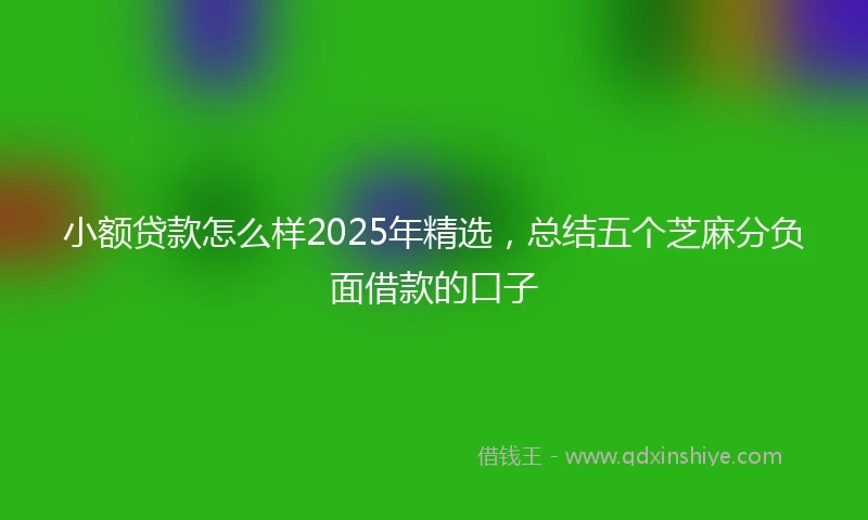 小额贷款怎么样2025年精选，总结五个芝麻分负面借款的口子