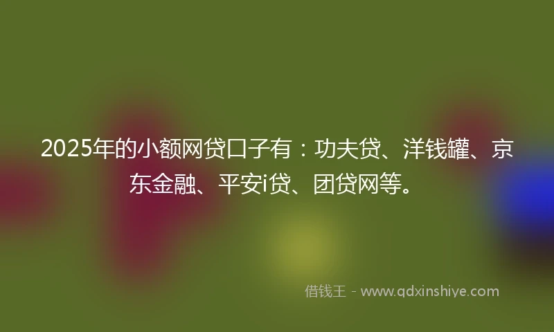 2025年的小额网贷口子有：功夫贷、洋钱罐、京东金融、平安i贷、团贷网等。