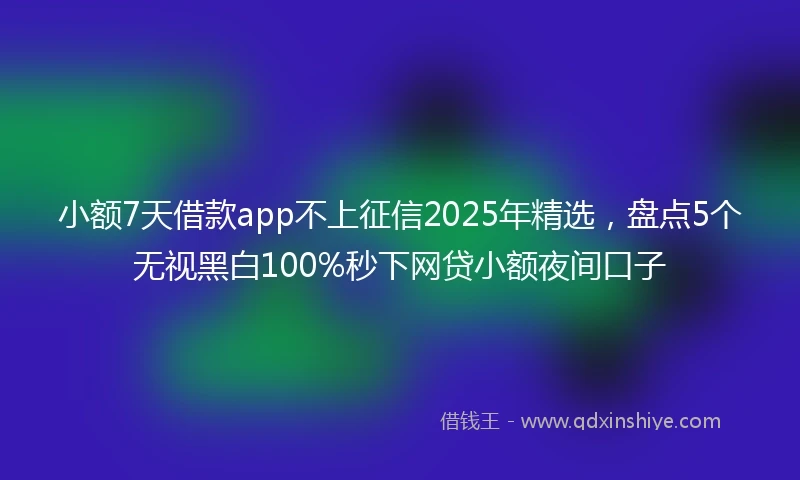 小额7天借款app不上征信2025年精选，盘点5个无视黑白100%秒下网贷小额夜间口子