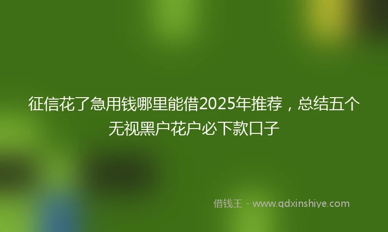征信花了急用钱哪里能借2025年推荐，总结五个无视黑户花户必下款口子