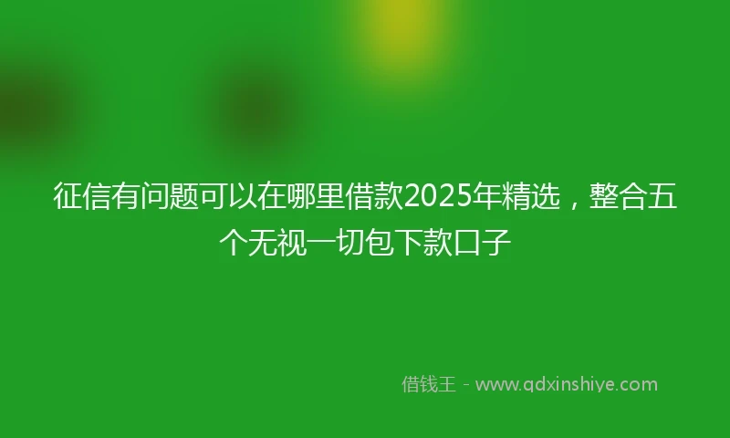 征信有问题可以在哪里借款2025年精选，整合五个无视一切包下款口子