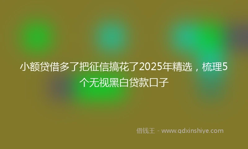 小额贷借多了把征信搞花了2025年精选，梳理5个无视黑白贷款口子