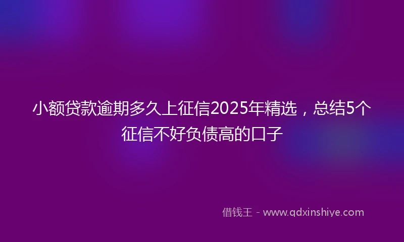 小额贷款逾期多久上征信2025年精选，总结5个征信不好负债高的口子