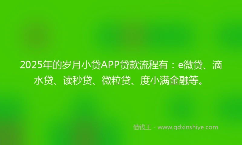 2025年的岁月小贷APP贷款流程有：e微贷、滴水贷、读秒贷、微粒贷、度小满金融等。