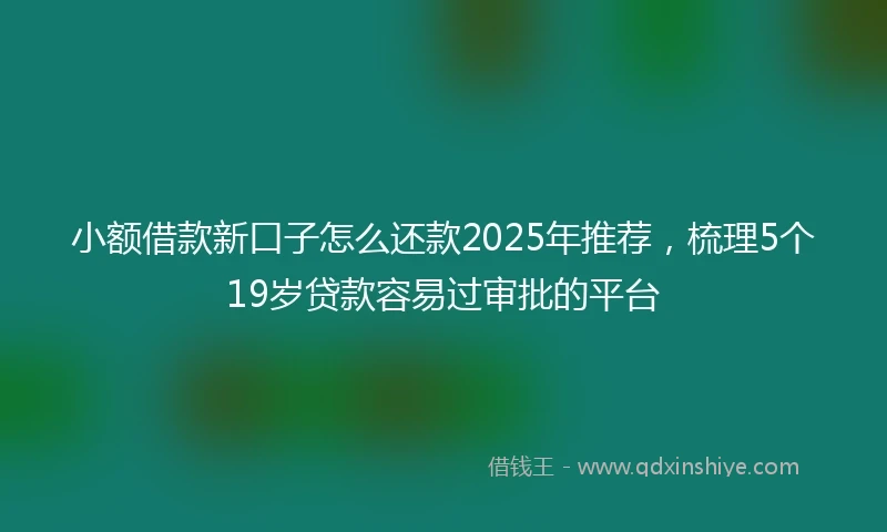 小额借款新口子怎么还款2025年推荐，梳理5个19岁贷款容易过审批的平台