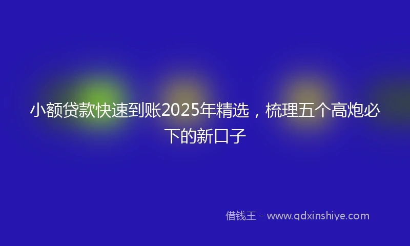 小额贷款快速到账2025年精选，梳理五个高炮必下的新口子