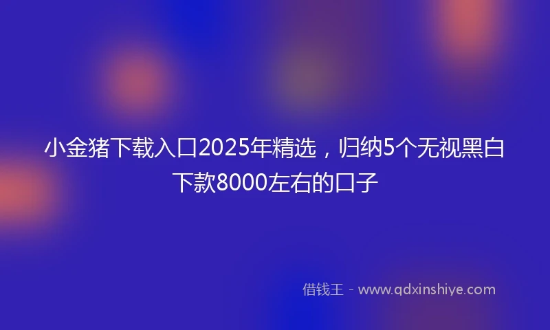 小金猪下载入口2025年精选，归纳5个无视黑白下款8000左右的口子