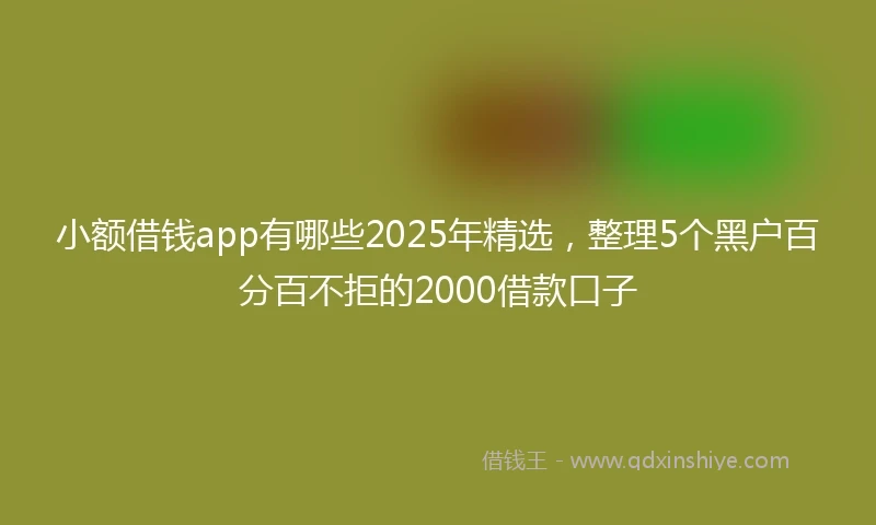 小额借钱app有哪些2025年精选，整理5个黑户百分百不拒的2000借款口子