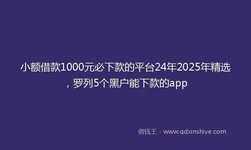 小额借款1000元必下款的平台24年2025年精选，罗列5个黑户能下款的app