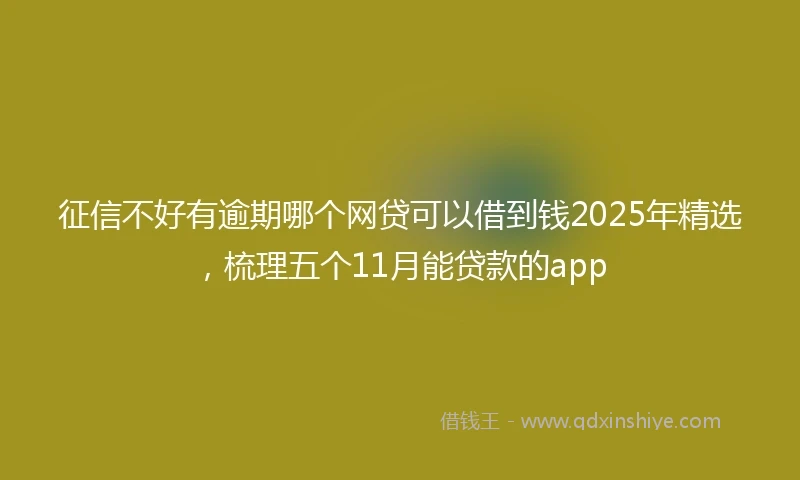 征信不好有逾期哪个网贷可以借到钱2025年精选，梳理五个11月能贷款的app
