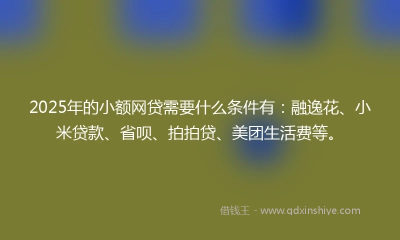 2025年的小额网贷需要什么条件有：融逸花、小米贷款、省呗、拍拍贷、美团生活费等。