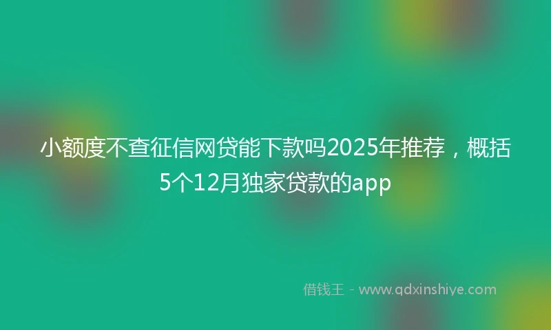 小额度不查征信网贷能下款吗2025年推荐，概括5个12月独家贷款的app