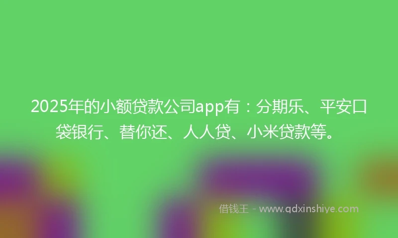 2025年的小额贷款公司app有：分期乐、平安口袋银行、替你还、人人贷、小米贷款等。