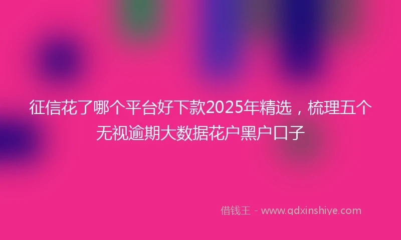 征信花了哪个平台好下款2025年精选，梳理五个无视逾期大数据花户黑户口子