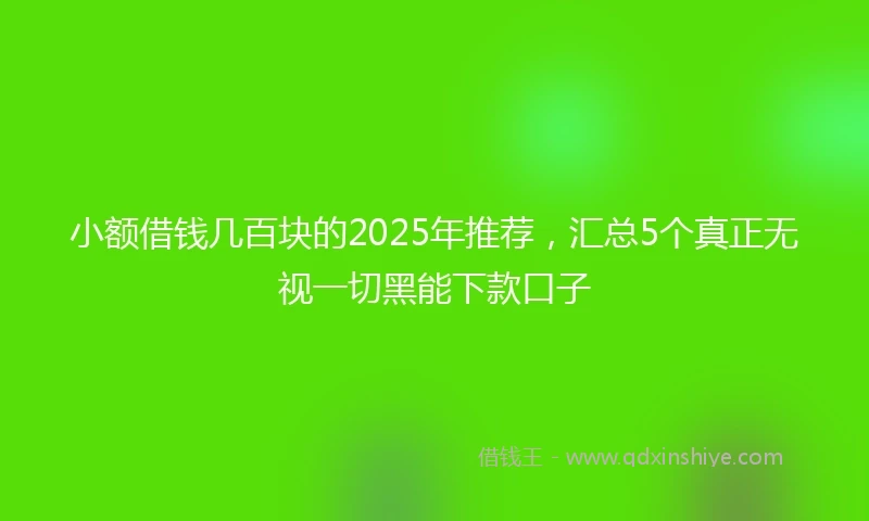 小额借钱几百块的2025年推荐，汇总5个真正无视一切黑能下款口子
