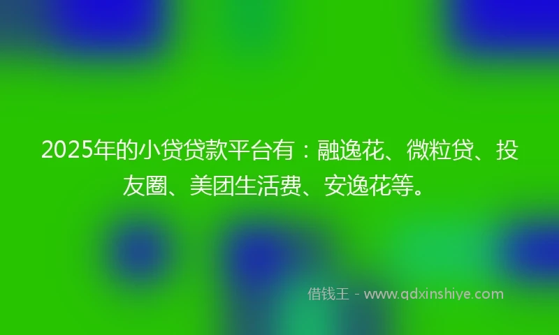 2025年的小贷贷款平台有：融逸花、微粒贷、投友圈、美团生活费、安逸花等。