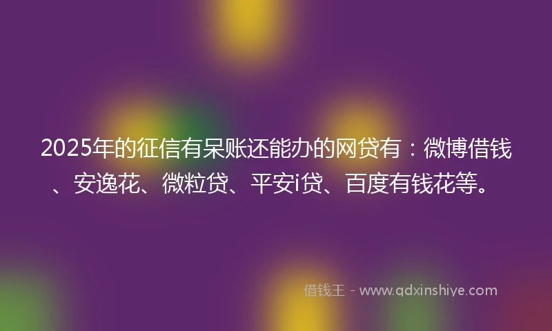 2025年的征信有呆账还能办的网贷有：微博借钱、安逸花、微粒贷、平安i贷、百度有钱花等。