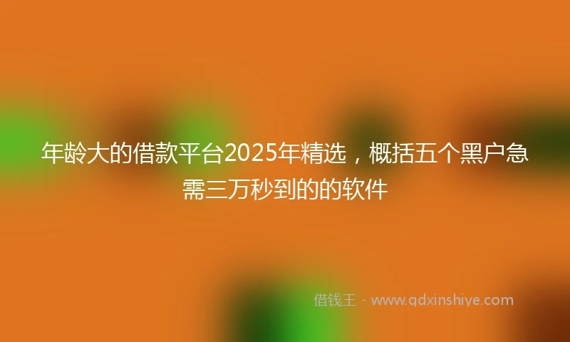 年龄大的借款平台2025年精选，概括五个黑户急需三万秒到的的软件