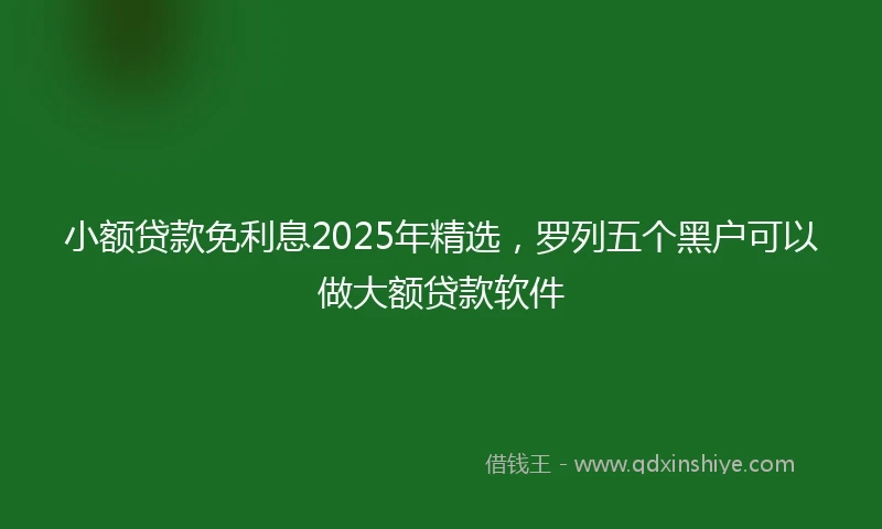 小额贷款免利息2025年精选，罗列五个黑户可以做大额贷款软件