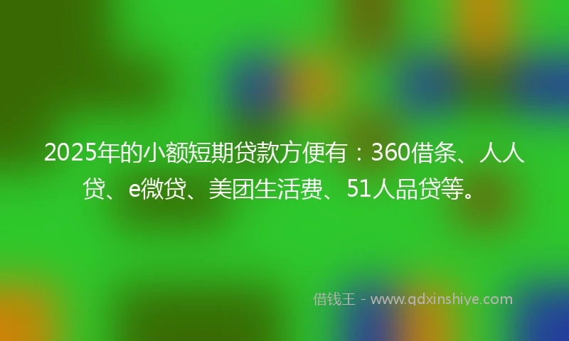 2025年的小额短期贷款方便有：360借条、人人贷、e微贷、美团生活费、51人品贷等。