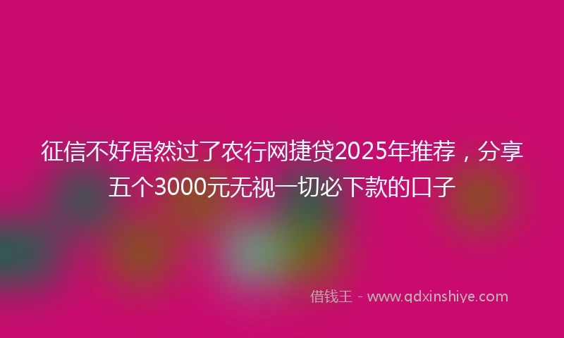 征信不好居然过了农行网捷贷2025年推荐，分享五个3000元无视一切必下款的口子