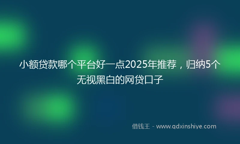 小额贷款哪个平台好一点2025年推荐，归纳5个无视黑白的网贷口子