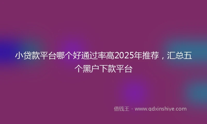 小贷款平台哪个好通过率高2025年推荐，汇总五个黑户下款平台