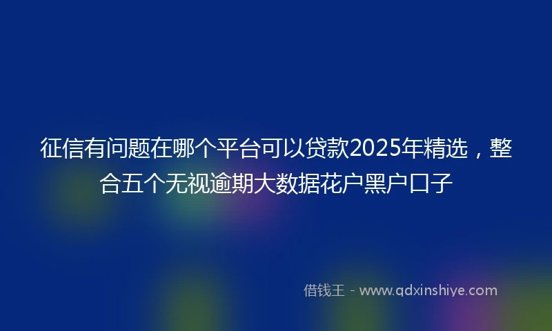 征信有问题在哪个平台可以贷款2025年精选，整合五个无视逾期大数据花户黑户口子