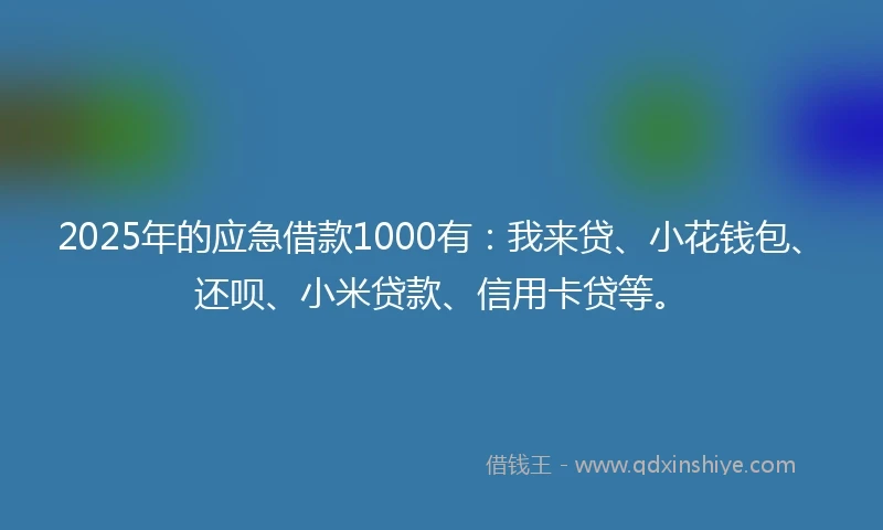 2025年的应急借款1000有：我来贷、小花钱包、还呗、小米贷款、信用卡贷等。