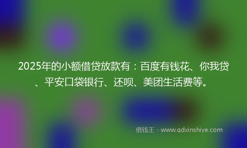 2025年的小额借贷放款有：百度有钱花、你我贷、平安口袋银行、还呗、美团生活费等。