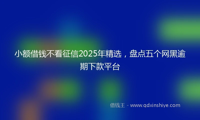 小额借钱不看征信2025年精选，盘点五个网黑逾期下款平台