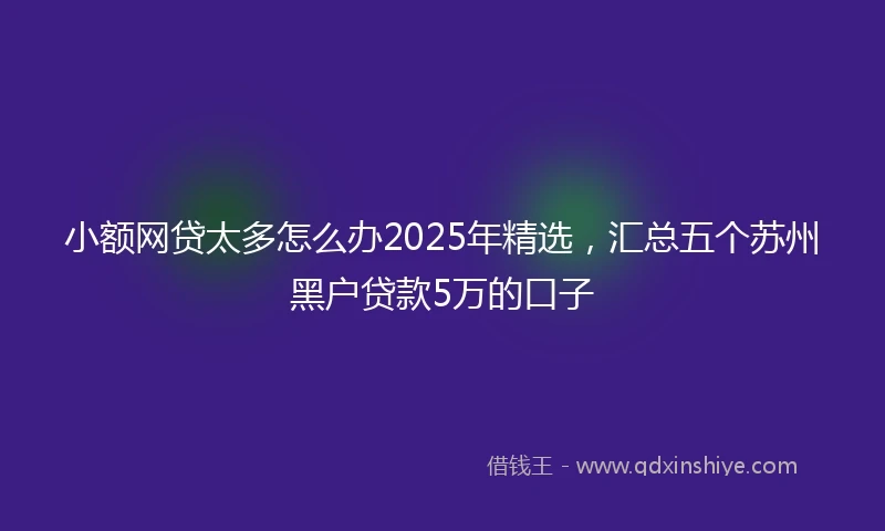 小额网贷太多怎么办2025年精选，汇总五个苏州黑户贷款5万的口子