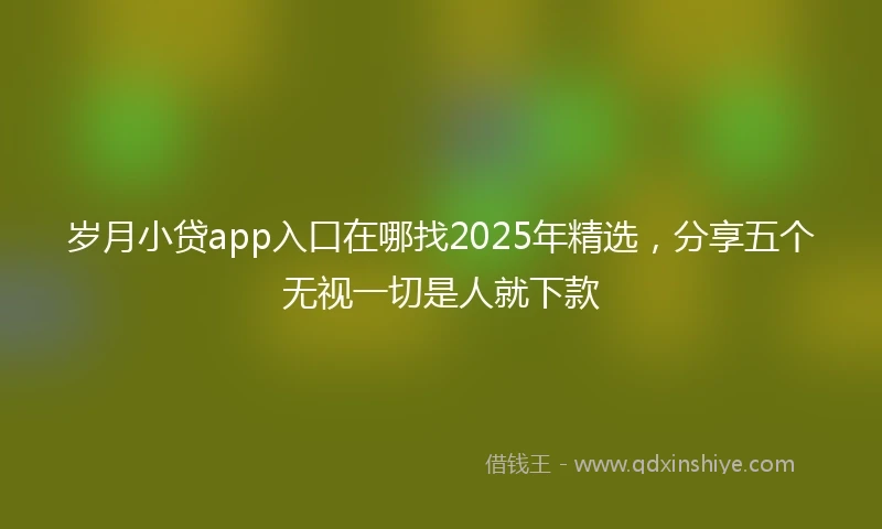 岁月小贷app入口在哪找2025年精选，分享五个无视一切是人就下款