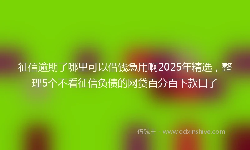 征信逾期了哪里可以借钱急用啊2025年精选，整理5个不看征信负债的网贷百分百下款口子