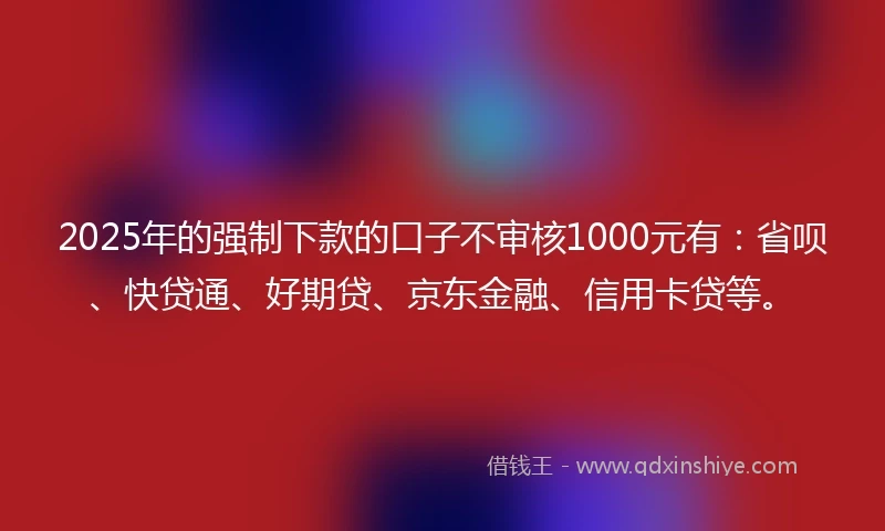 2025年的强制下款的口子不审核1000元有：省呗、快贷通、好期贷、京东金融、信用卡贷等。