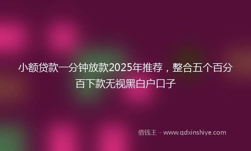 小额贷款一分钟放款2025年推荐，整合五个百分百下款无视黑白户口子