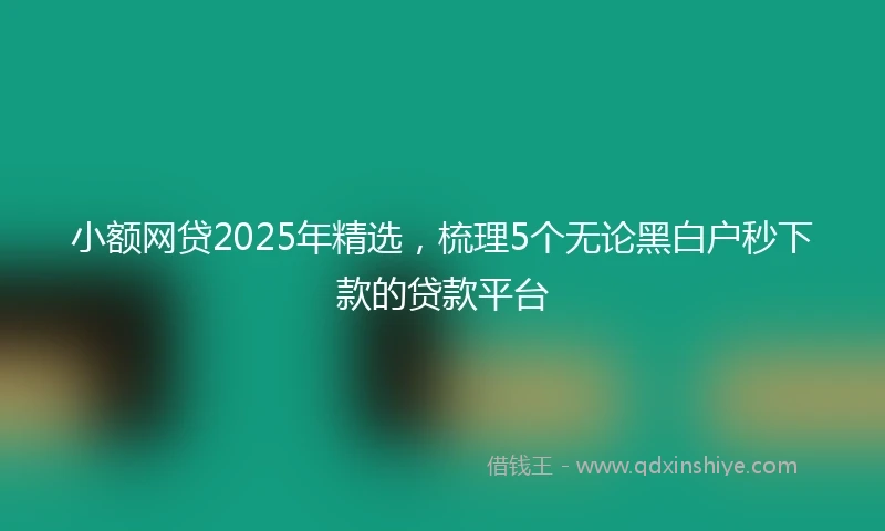 小额网贷2025年精选，梳理5个无论黑白户秒下款的贷款平台