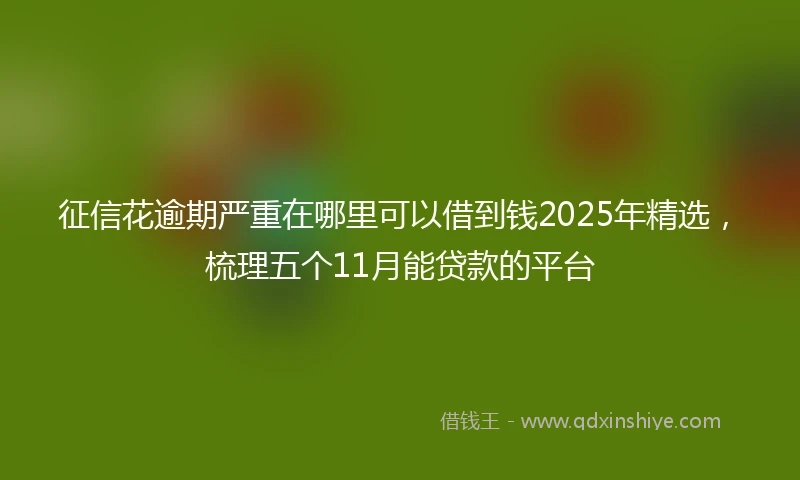 征信花逾期严重在哪里可以借到钱2025年精选，梳理五个11月能贷款的平台