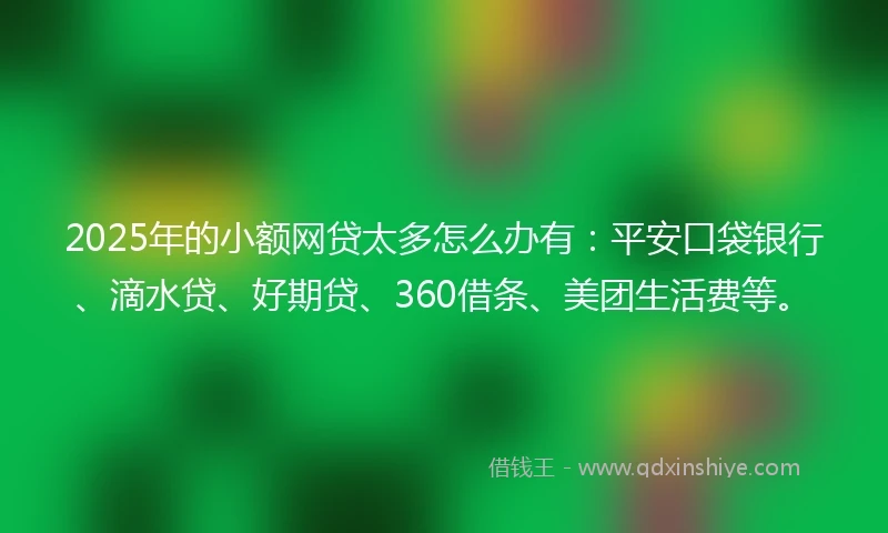 2025年的小额网贷太多怎么办有：平安口袋银行、滴水贷、好期贷、360借条、美团生活费等。