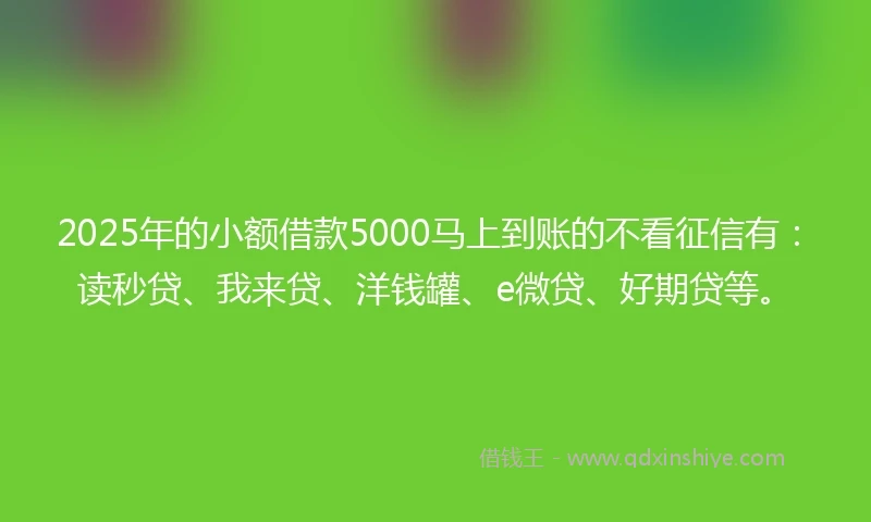 2025年的小额借款5000马上到账的不看征信有：读秒贷、我来贷、洋钱罐、e微贷、好期贷等。