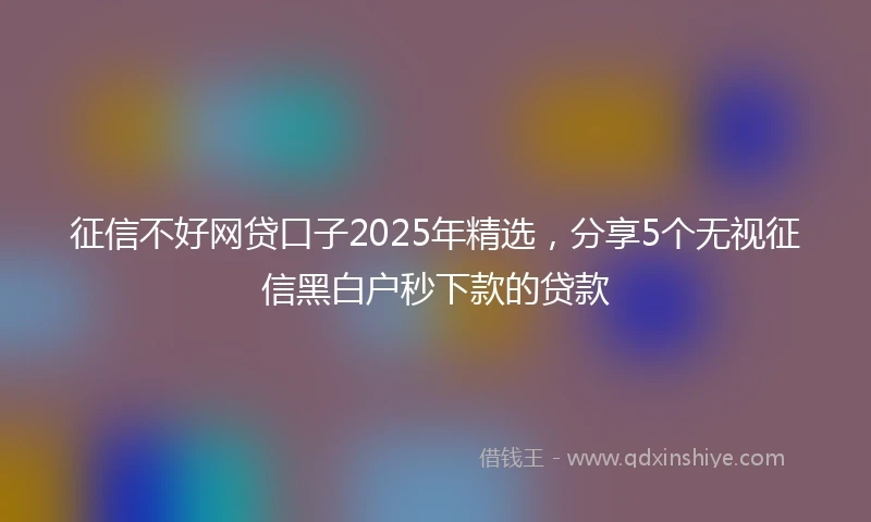 征信不好网贷口子2025年精选，分享5个无视征信黑白户秒下款的贷款