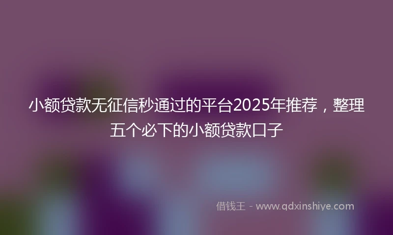 小额贷款无征信秒通过的平台2025年推荐，整理五个必下的小额贷款口子