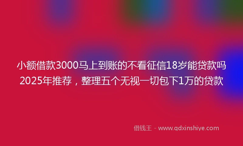 小额借款3000马上到账的不看征信18岁能贷款吗2025年推荐，整理五个无视一切包下1万的贷款