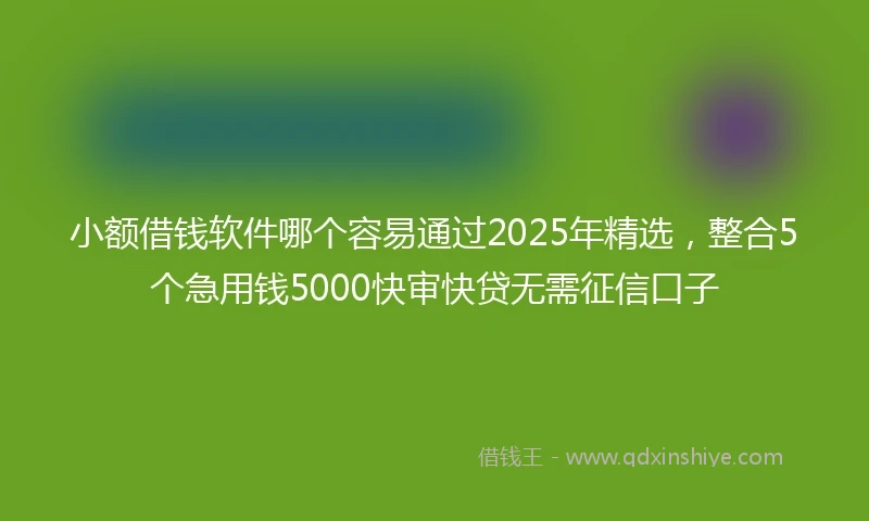 小额借钱软件哪个容易通过2025年精选，整合5个急用钱5000快审快贷无需征信口子